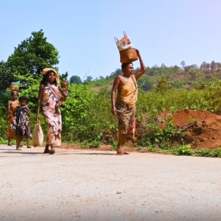 Rural Connectivity