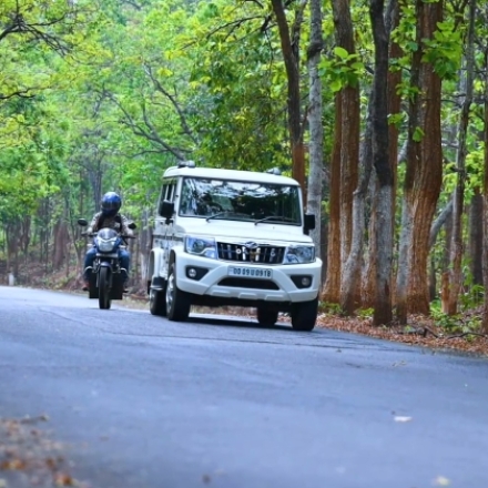 Rural Connectivity